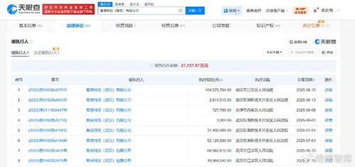 集度科技武漢公司被執(zhí)行1.04億，互聯(lián)網(wǎng)信息服務(wù)行業(yè)風(fēng)險(xiǎn)警鐘長(zhǎng)鳴